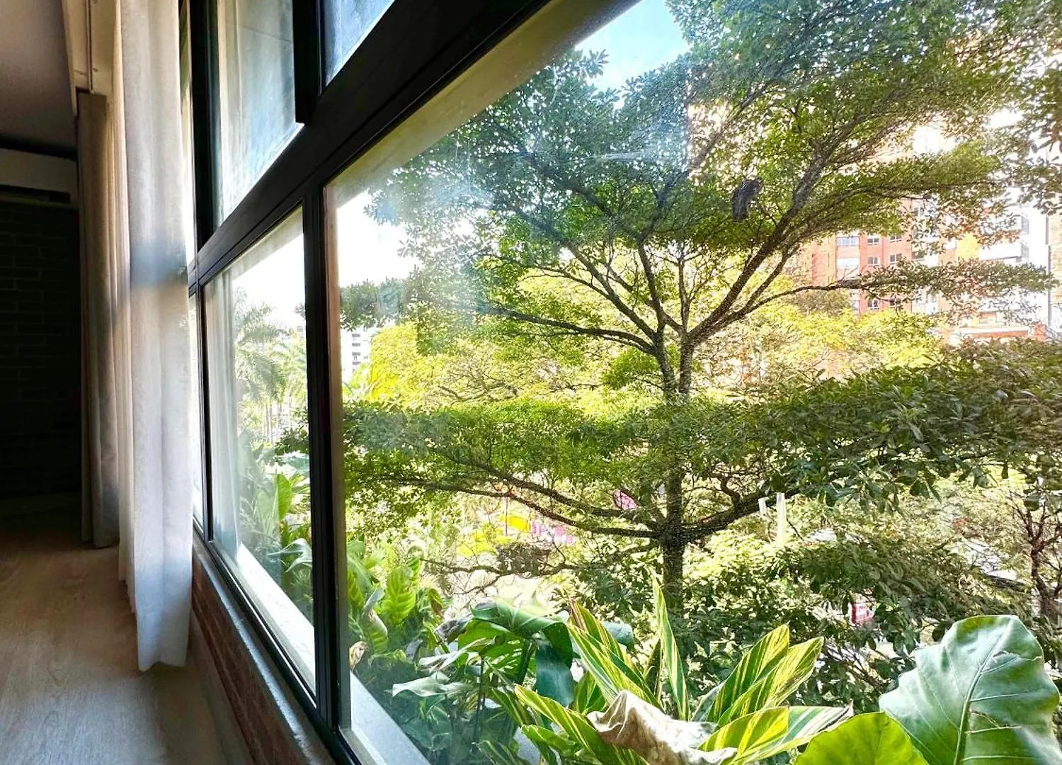 Refugio Zen Lejlighed Medellín